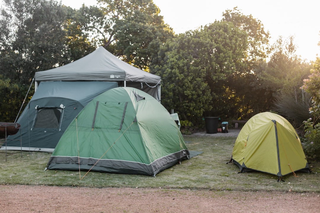 A comparison visual of the Snow Peak Home & Camp 1 and Coleman Japan 2-Person Dome tents side by sid