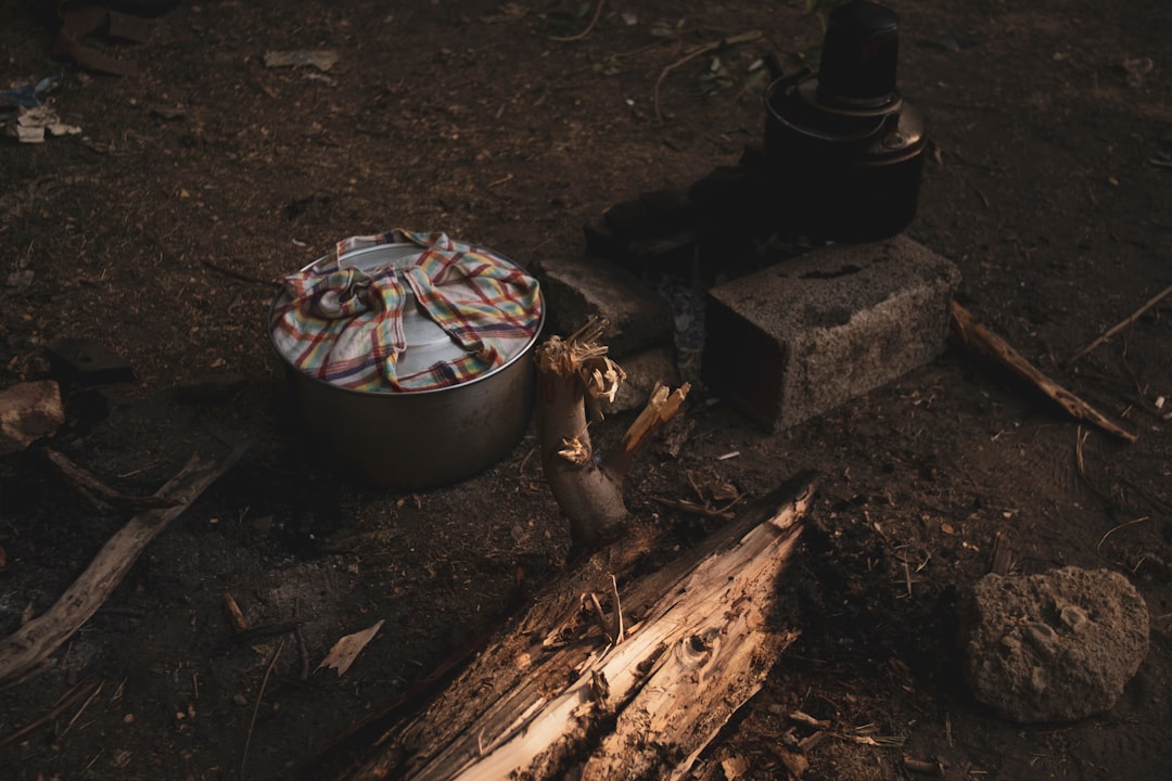 A picturesque campsite featuring both the Uniflame Portable Grill and Coleman Japan Camping Stove se