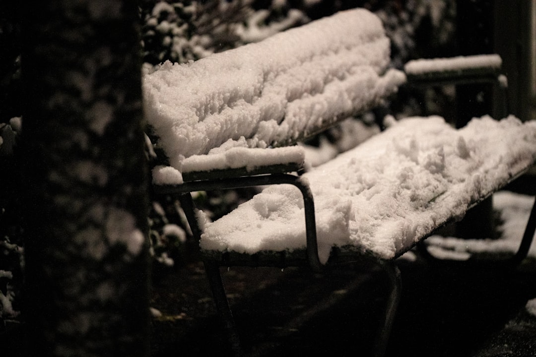 A close-up image of the Snow Peak Low Beach Chair showcasing its aluminum frame and fabric texture.