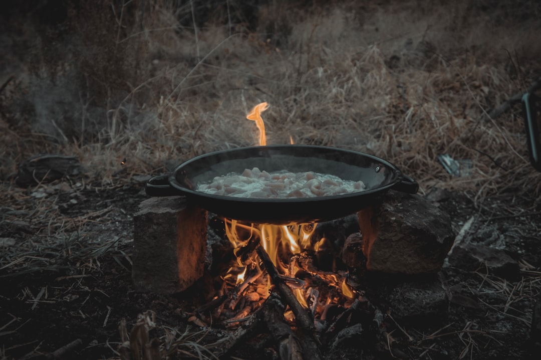 Image of the Coleman Japan Portable 2-Burner Stove in a family camping setup, showing a family cooki