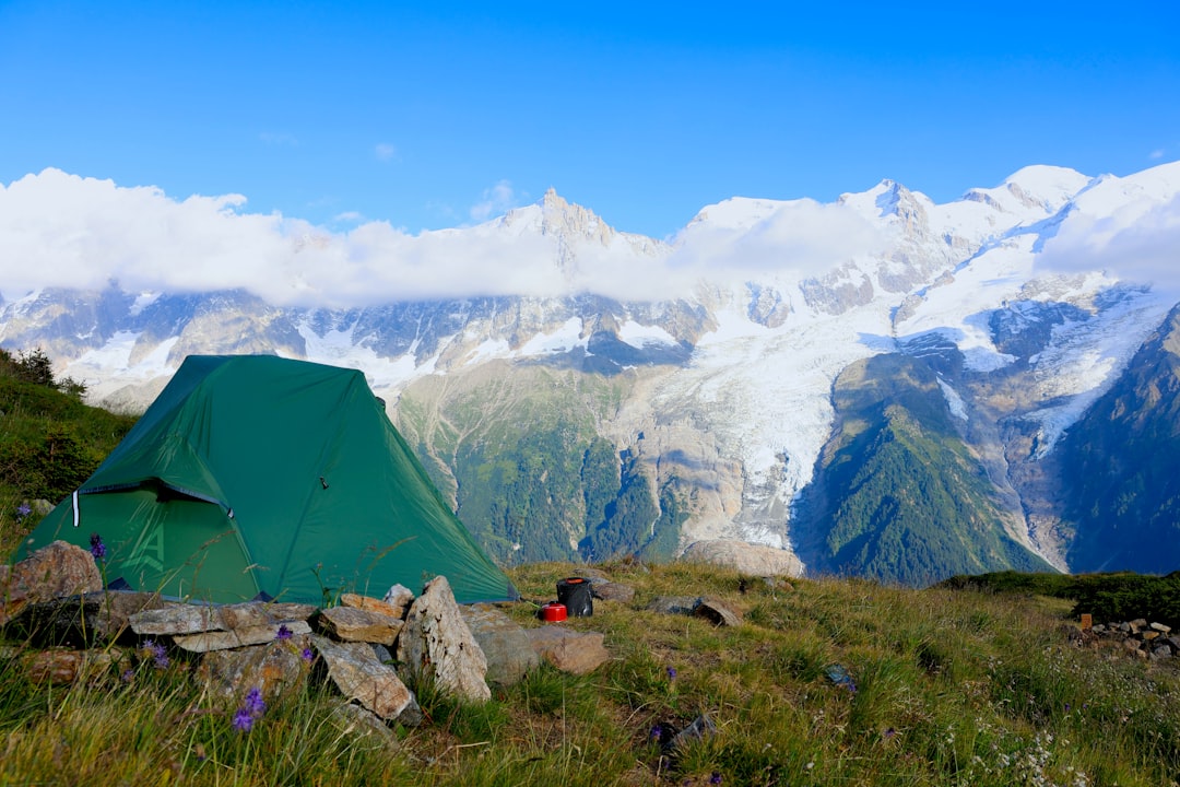 A vibrant image depicting both Uniflame and Soto camping stoves set up in a scenic outdoor environme
