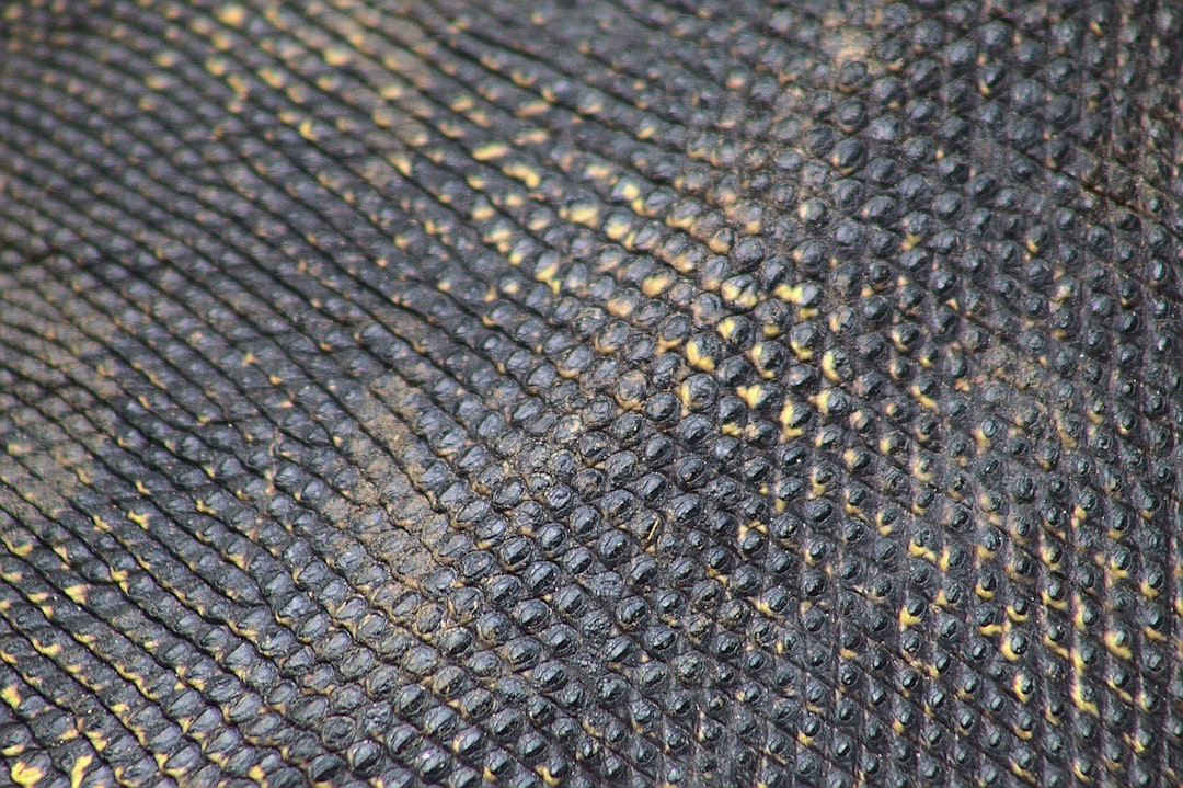 Close-up image of high-quality Japanese tarp material, featuring ripstop nylon and waterproof coatin