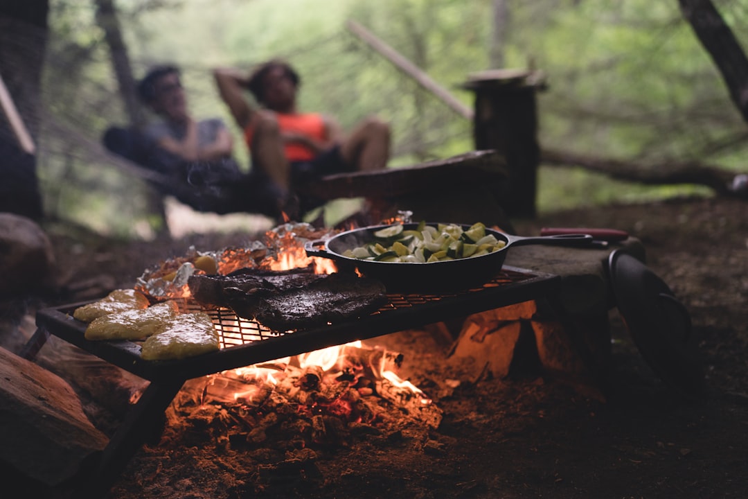 A captivating image of the Snow Peak Takibi Fire & Grill in use, depicting people enjoying a warm fi