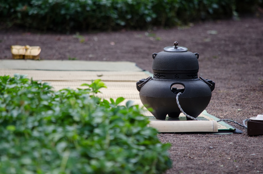 A beautifully arranged setting featuring both a traditional cast iron kettle and a sleek stainless s