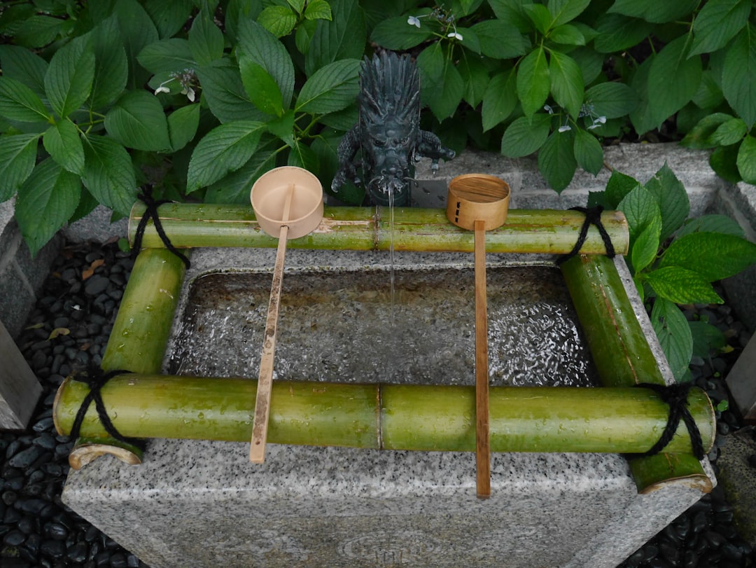 An image of the DOD Table featuring its bamboo top in a natural setting, highlighting its stylish de