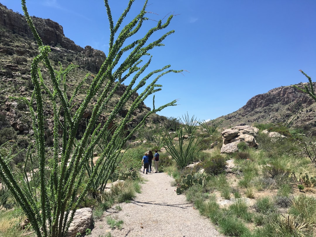 Image of Shiseido WetForce Sunscreen Stick being used for touch-ups on a face while hiking.