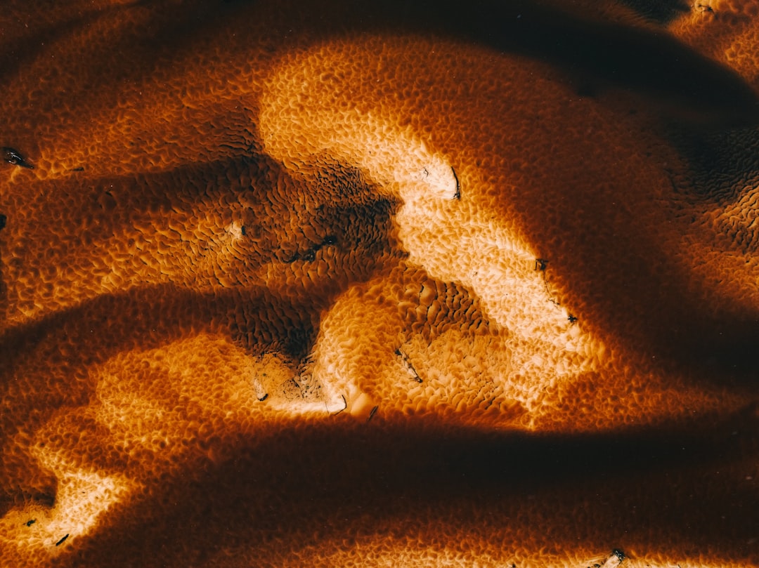 A close-up shot of the Hario Buono Kettle highlighting its spout and handle for precise pouring.