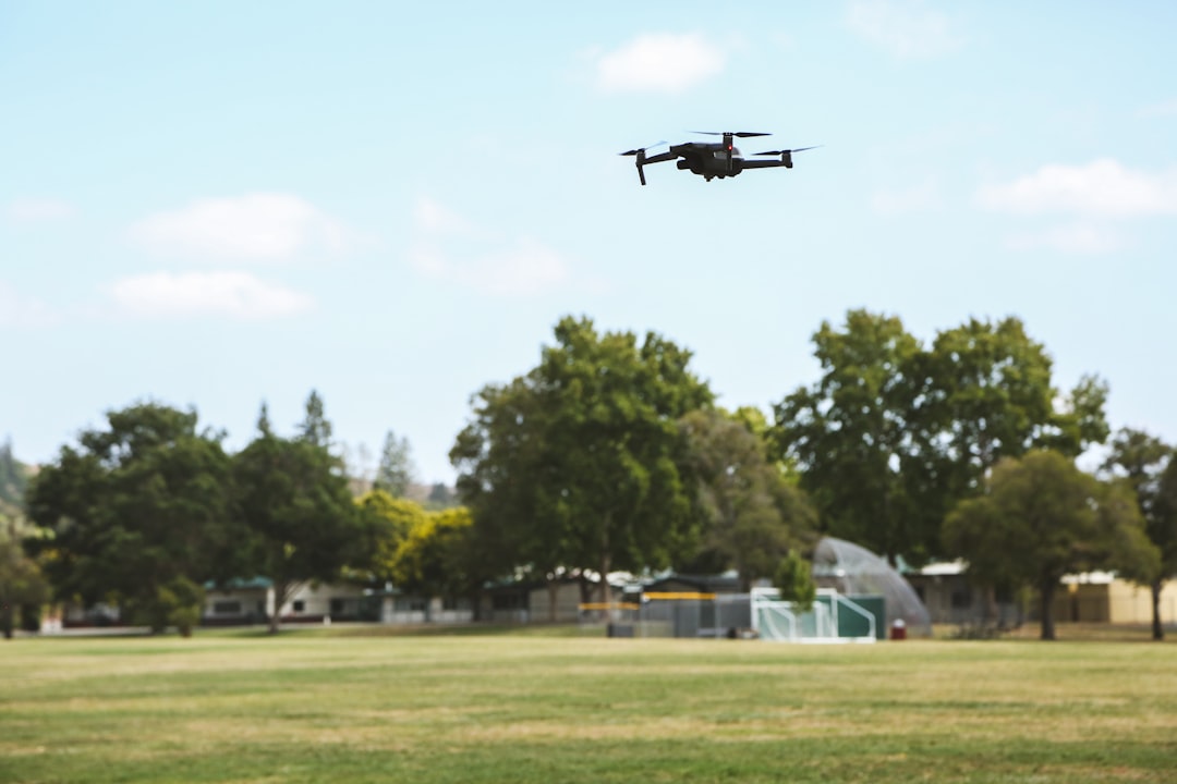 A vibrant outdoor scene featuring a diverse group of people using various Sony portable devices, suc