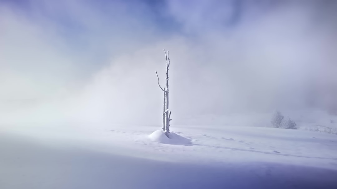 Close-up image of the Snow Peak Takibi Cooler, highlighting its rotomolded construction and integrat