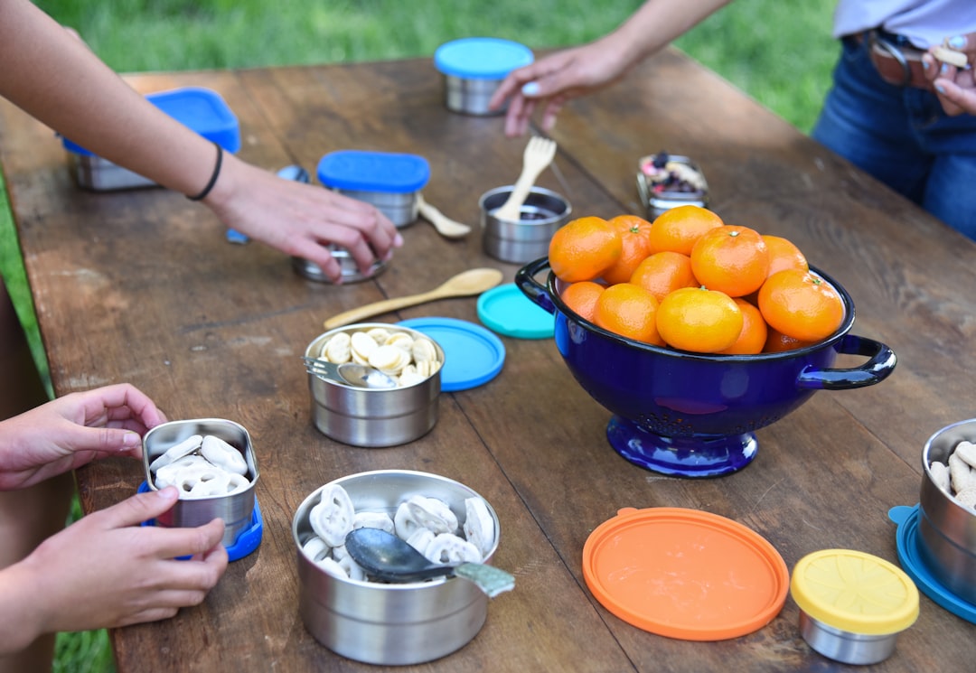 A beautifully arranged scene featuring various bento boxes set against a natural outdoor backdrop, w