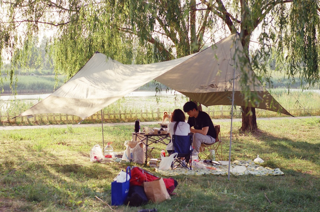 An image of a well-organized campsite with a tarp providing cover and a table underneath, showing a
