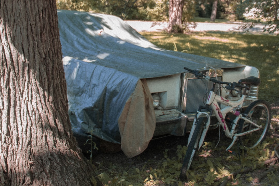 Image showing a Japanese camping cooler being used as a seat or table at a campsite, with campers si