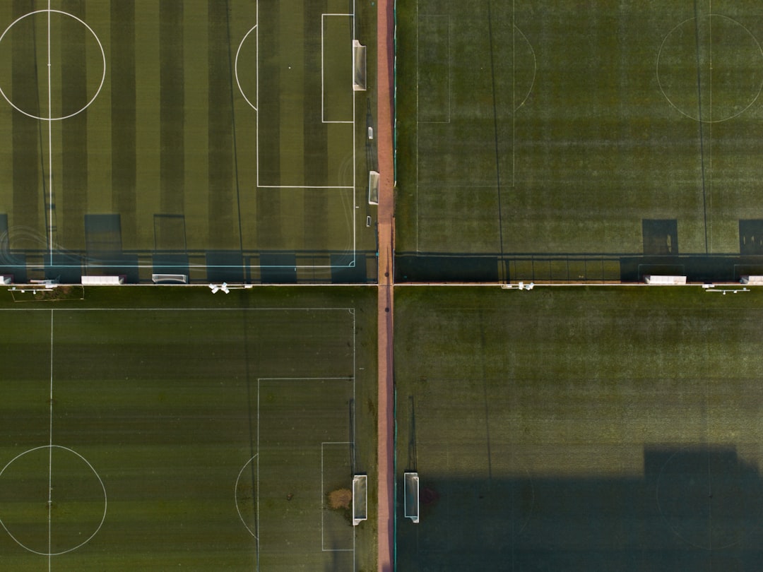 Comparison infographic style image showing key specs of the four cameras side by side (sensor, stabi