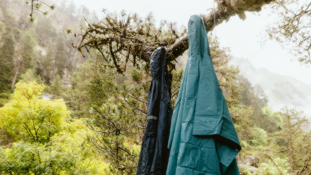 A hero image showing a fully set-up Montbell tarp shelter on a scenic American trail (e.g., forest c