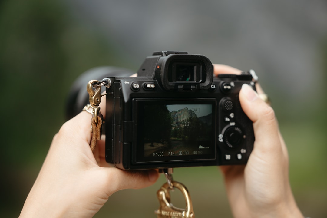 Hero image showing a Panasonic and Sony mirrorless camera side-by-side on a natural outdoor backdrop