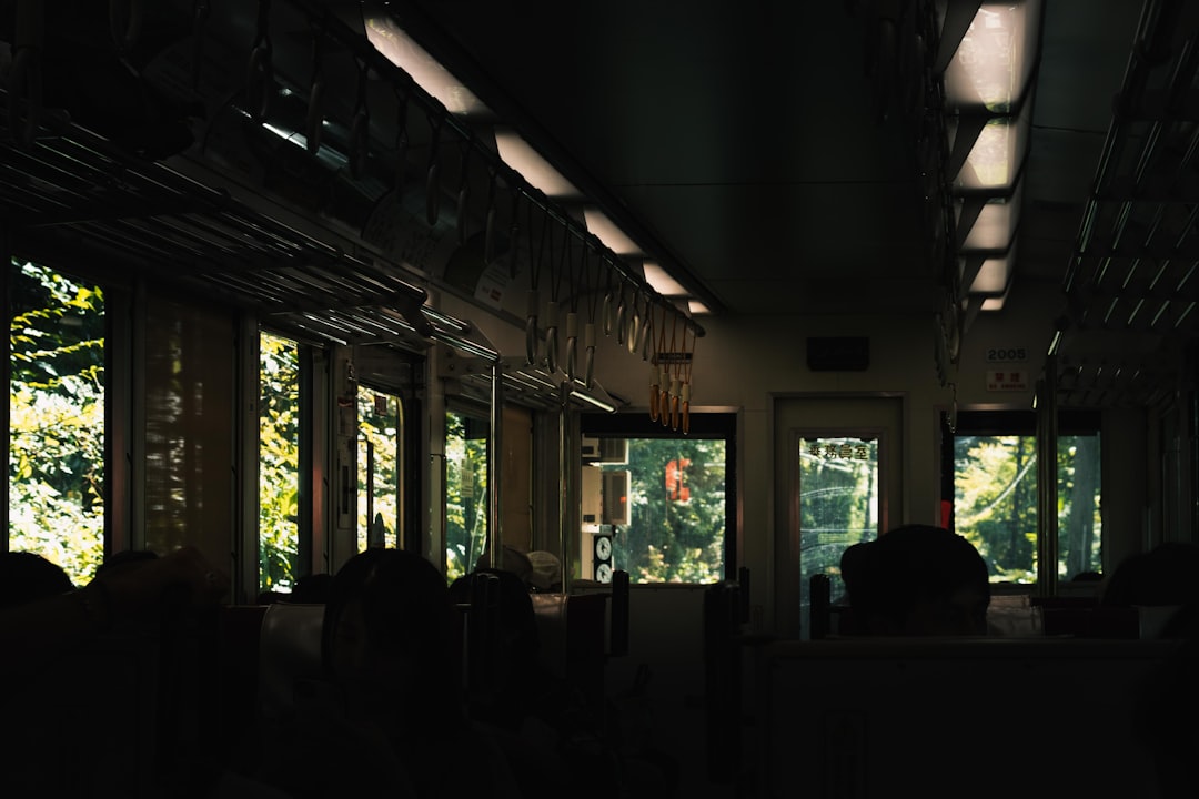 Comparison graphic or photo showing Panasonic Lumix GH Series, G Series, and S Series cameras side b