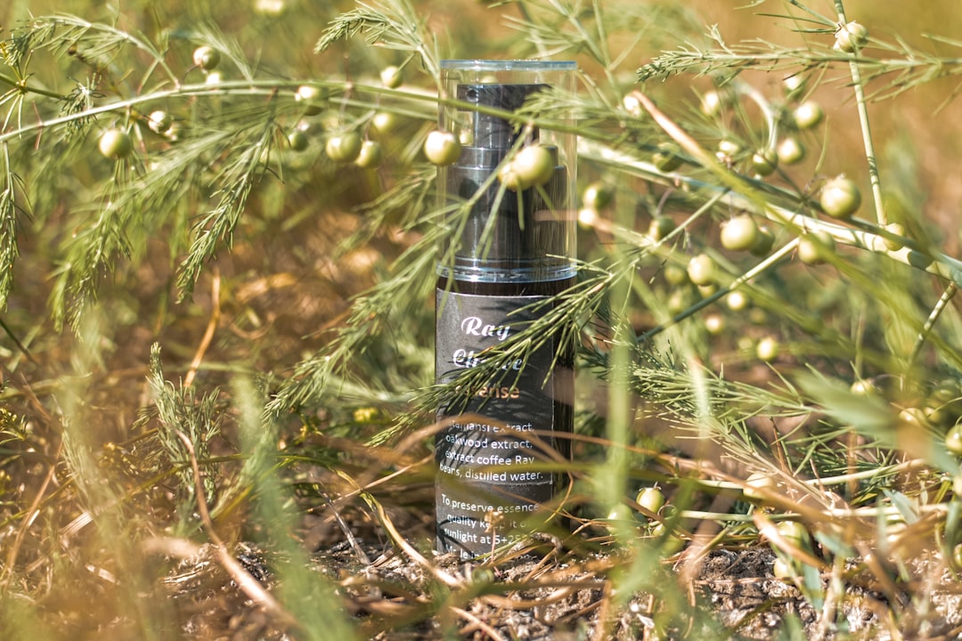 Close-up product shot of the DHC Deep Cleansing Oil bottle with product name visible, placed on a si