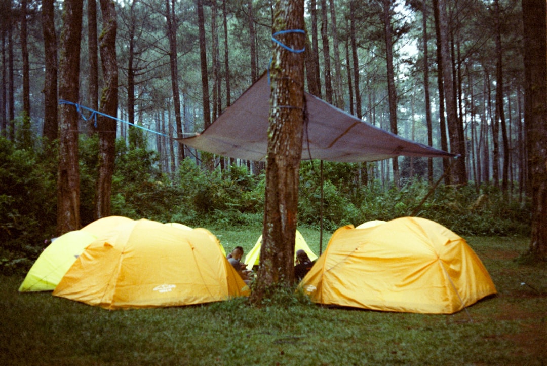 Hero image showing a scenic campsite with a Japanese tarp (Montbell or Soto) pitched in a picturesqu