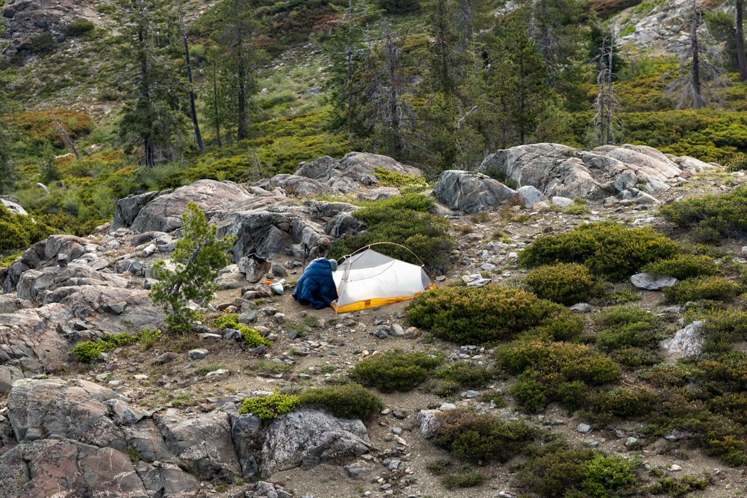 A visually striking hero image showing a camping scene at dawn or dusk in a scenic American wilderne
