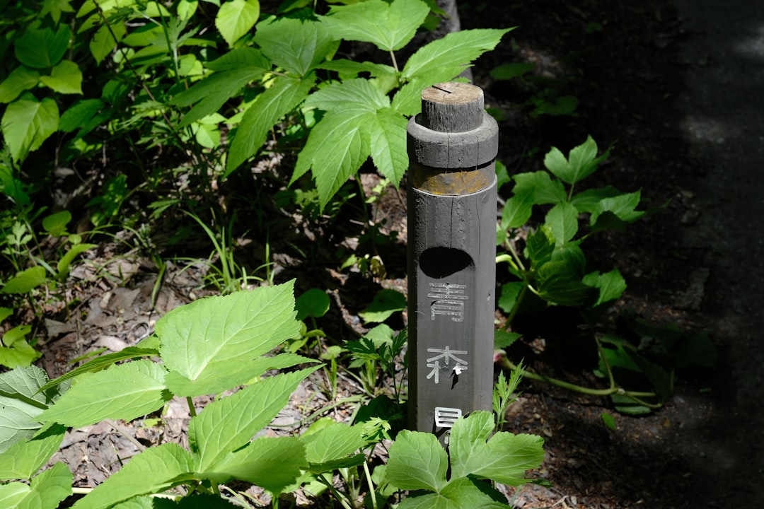 Photo of the Snow Peak Titanium Pen Case outdoors, perhaps clipped to a backpack or lying on a rock,