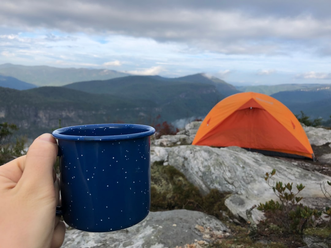 Hero image showing a Japanese titanium cup placed on a rustic wooden table with a serene mountain or