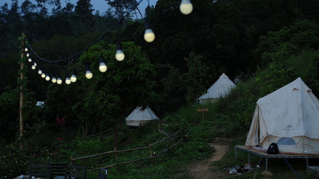 A clean product lineup photo showing all four lantern models (Soto Amicus, Soto Muka, Coleman Japan 