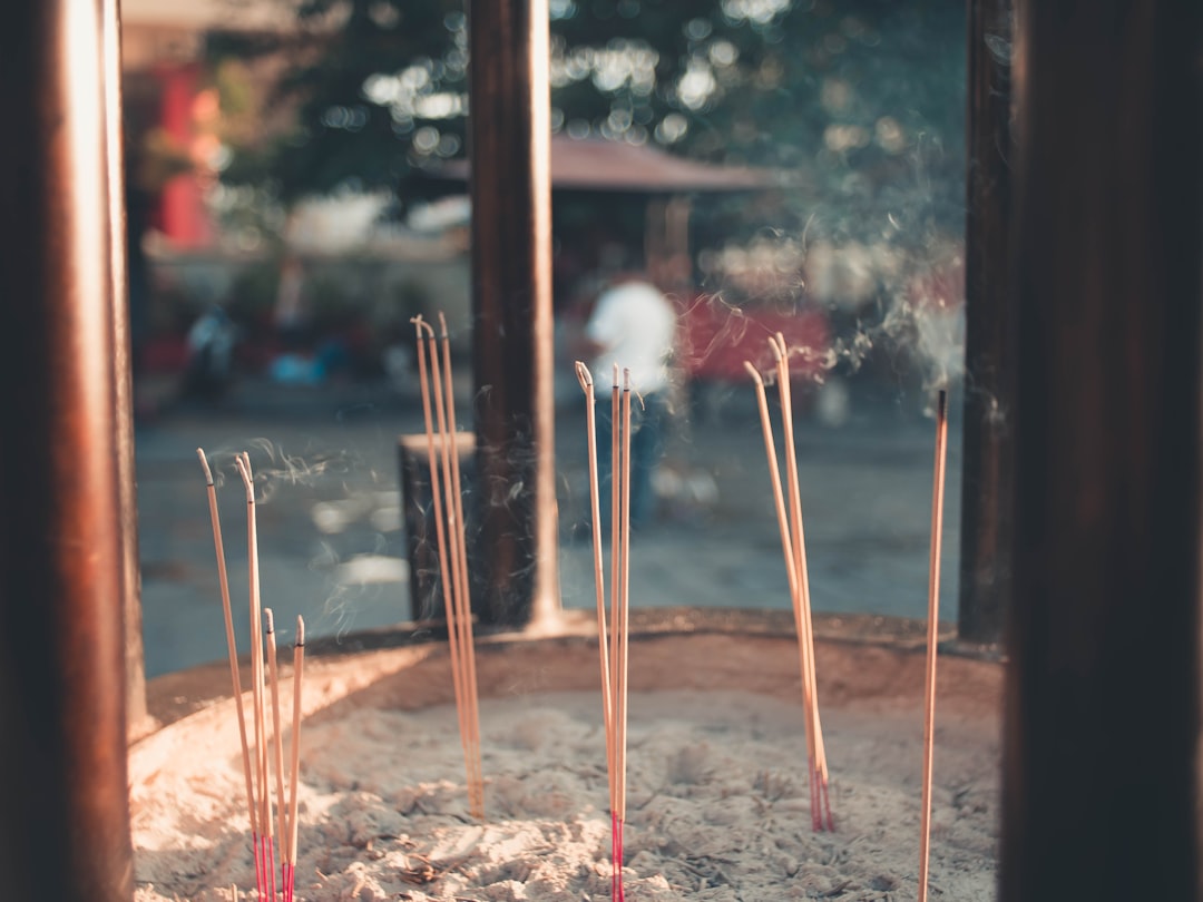Artisan-style photo focusing on the Hashi-no-Sato bamboo chopsticks resting on a small travel case b