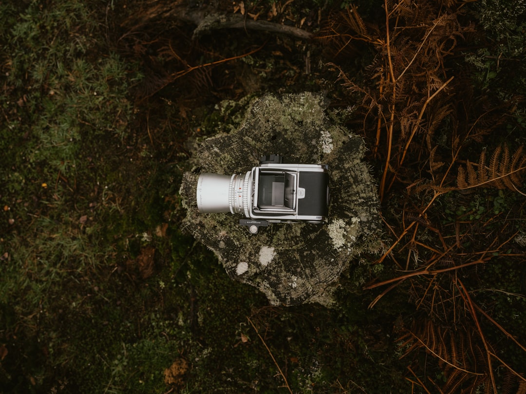 Photo of the Olympus OM-D E-M1 Mark III in a rugged outdoor environment, such as a forest trail or m
