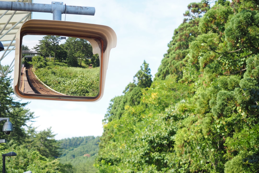 Hero image showing a Fujifilm and Olympus mirrorless camera side-by-side on a wooden surface outdoor