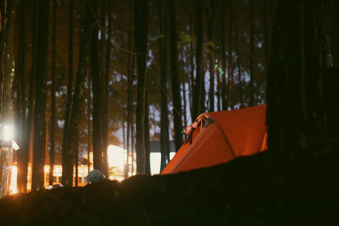 Hero image showing an inviting campsite scene with a mix of Captain Stag and Uniflame camping gear s